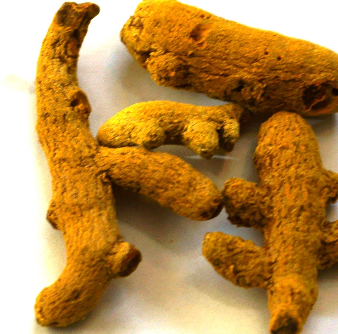Holisherb Turmeric Root Fingers - 1 lb