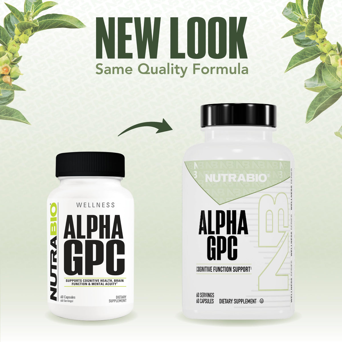 NutraBio Alpha GPC Brain Support 300mg - 60 Vegetable Capsules - image 2
