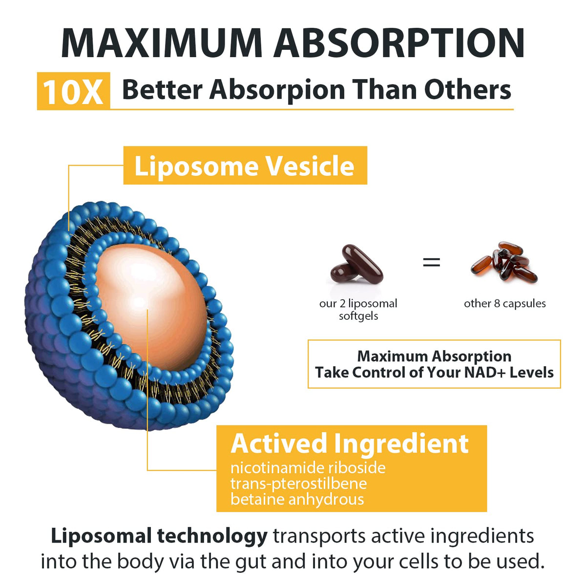 Orgabay Liposomal Nicotinamide Riboside 2000 MG with TMG