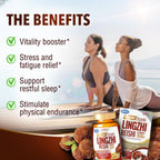 LABO Nutrition Bioactive Organic Reishi Ultra Mushroom - 90 Capsules - image 5
