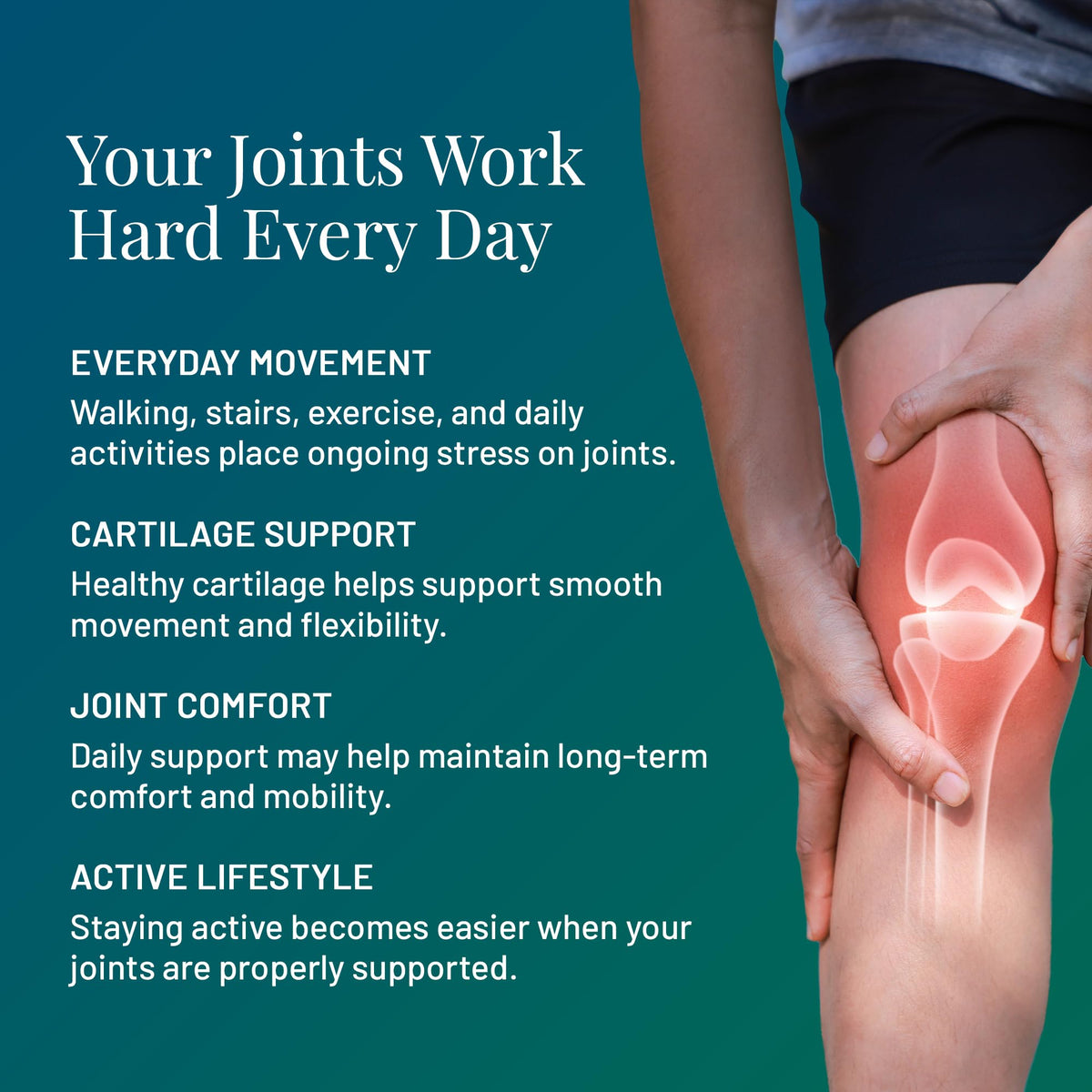 FLEXOPLEX Bone & Joint Support Supplement - 120 Tablets - image 3