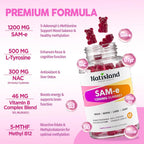 NATISLAND SAM-e with L-Tyrosine Gummies B-Complex - 60 Gummies - image 4