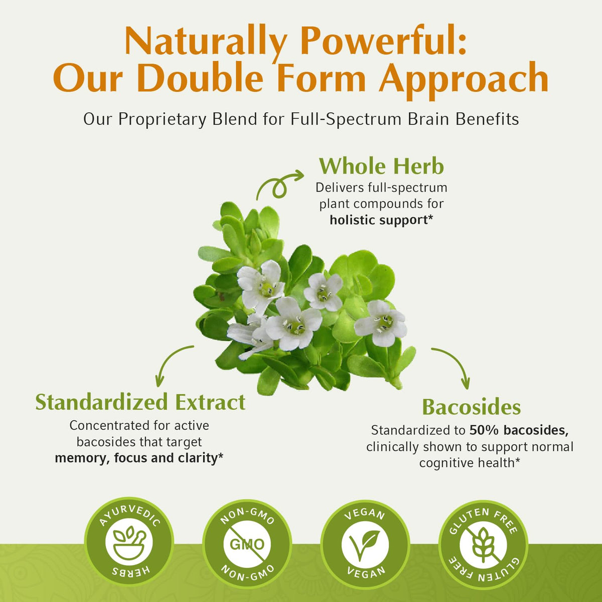 Jiva Botanicals Bacopa Monnieri 1000mg - 60 Capsules - image 4