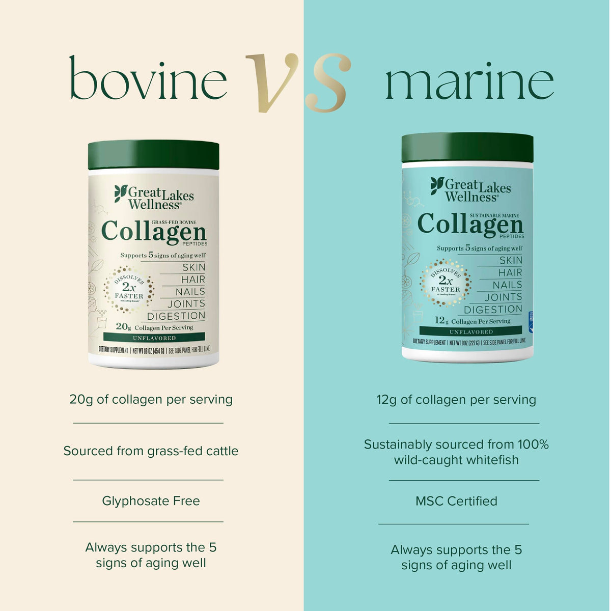 Great Lakes Wellness Sustainable Marine Collagen Peptides for Skin
