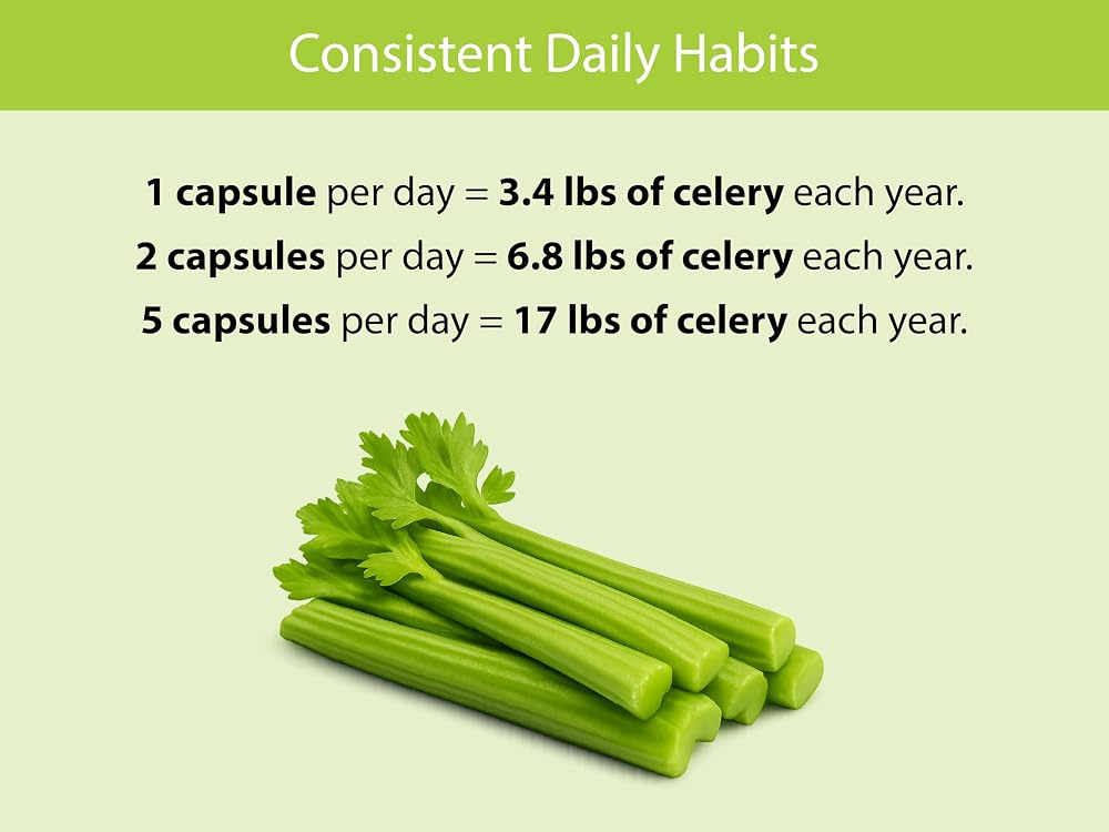 KOYAH - Organic Celery - Parent