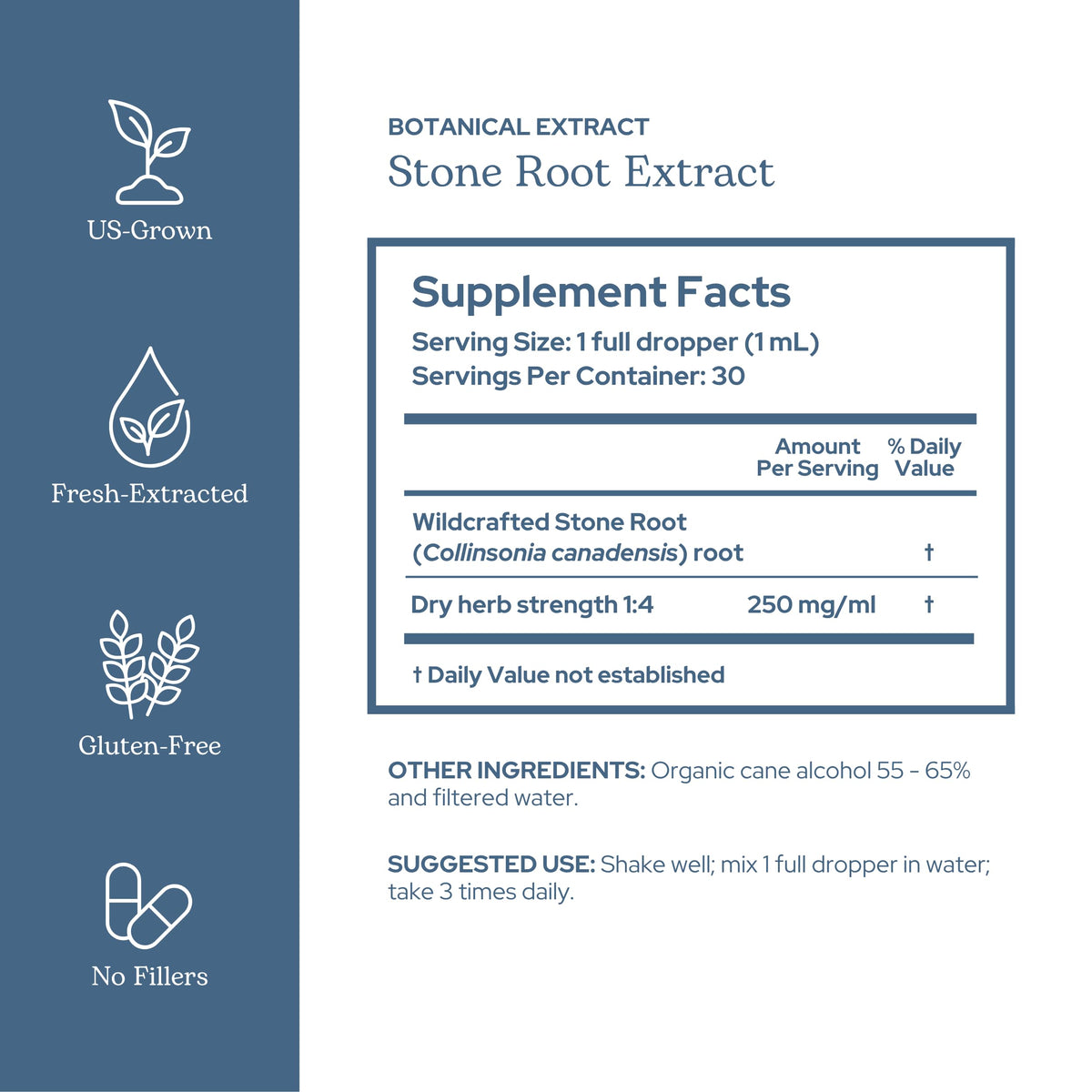 Eclectic Institute Stone Root Extract Liquid Drops Urinary Support - 1 fl oz - image 2