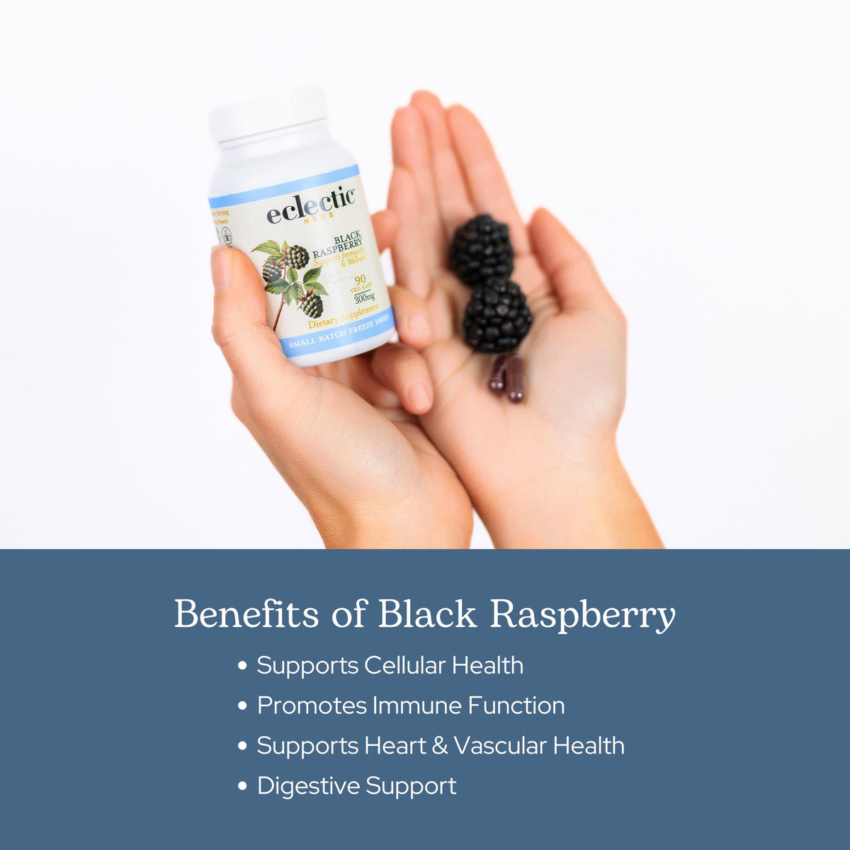 Eclectic Institute Black Raspberry Capsules Antioxidant Support - 90 Capsules - image 4