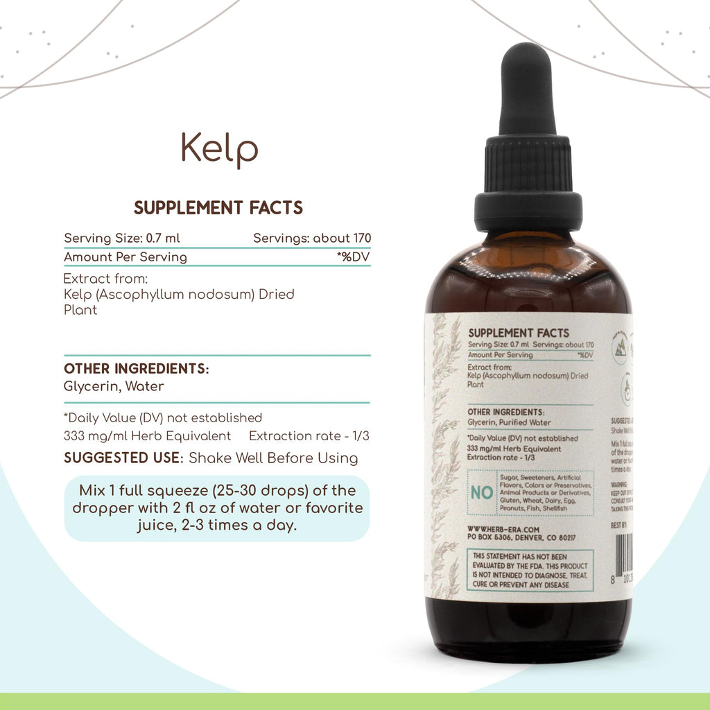 HerbEra Kelp Alcohol-Free Herbal Extract Tincture