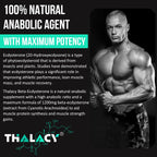 Thalacy 1200MG Beta Ecdysterone Supplement