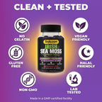 Sakoon Nutrition Irish Sea Moss Gummies with Elderberry - 60 Gummies - image 7