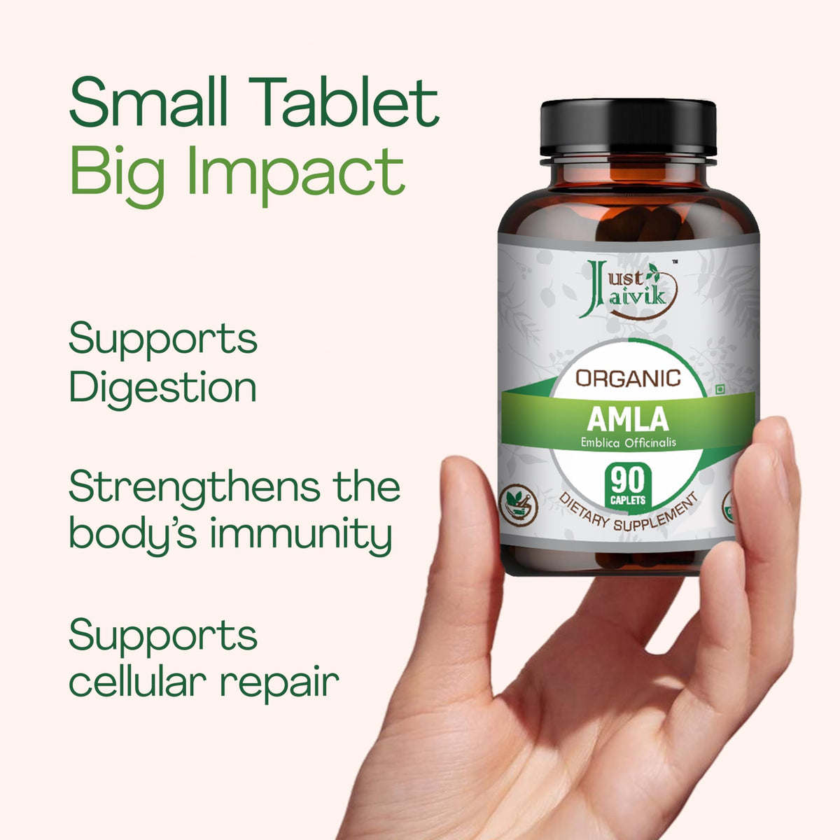 Just Jaivik Organic Amla Tablets Vitamin C - 90 Tablets - image 3