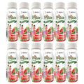 BariatricPal 30g Whey Protein & Collagen Power Pro Shots Watermelon - 12 Bottles