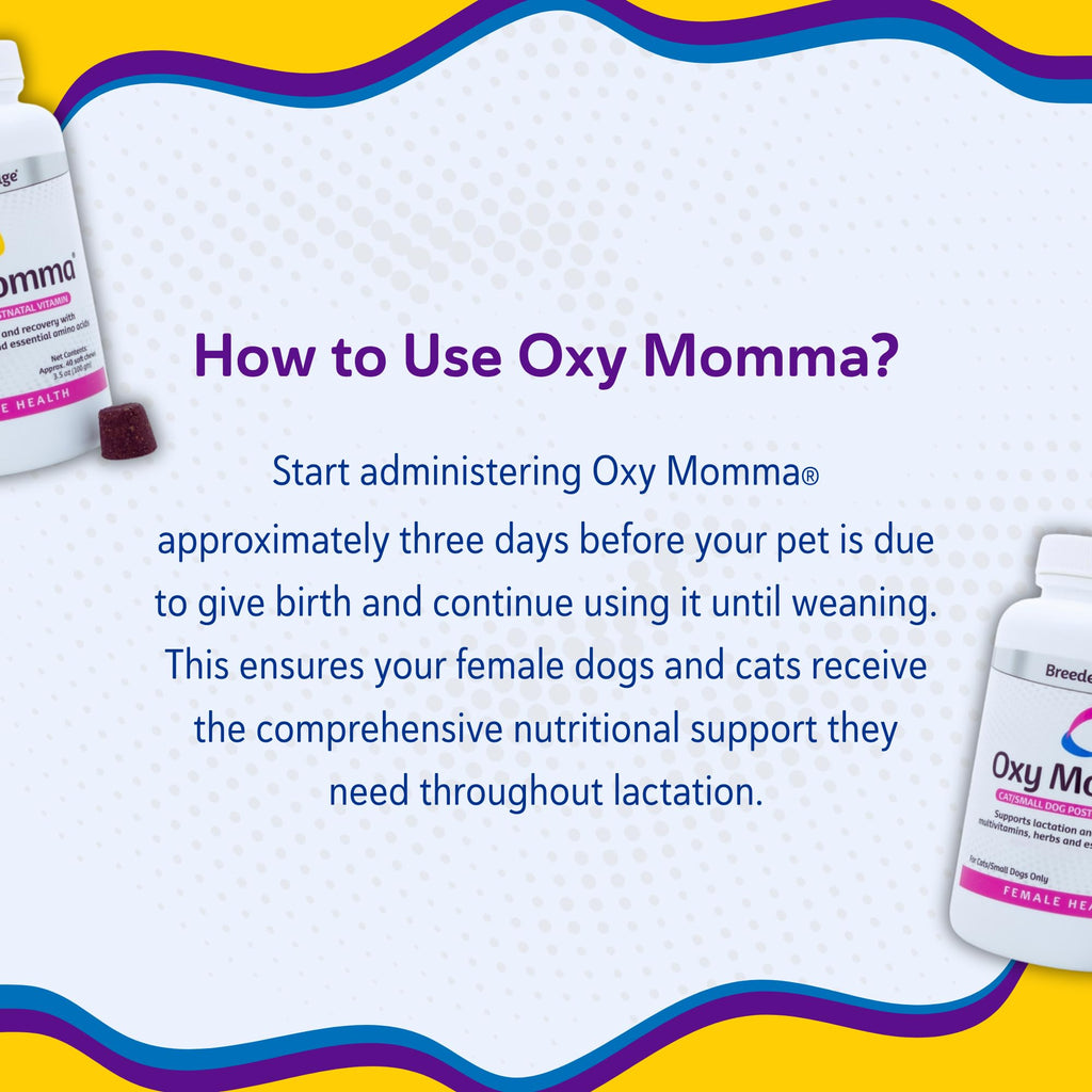 Breeder's Edge Oxy Momma Postnatal Soft Chews for Dogs & Cats - 40ct - image 8