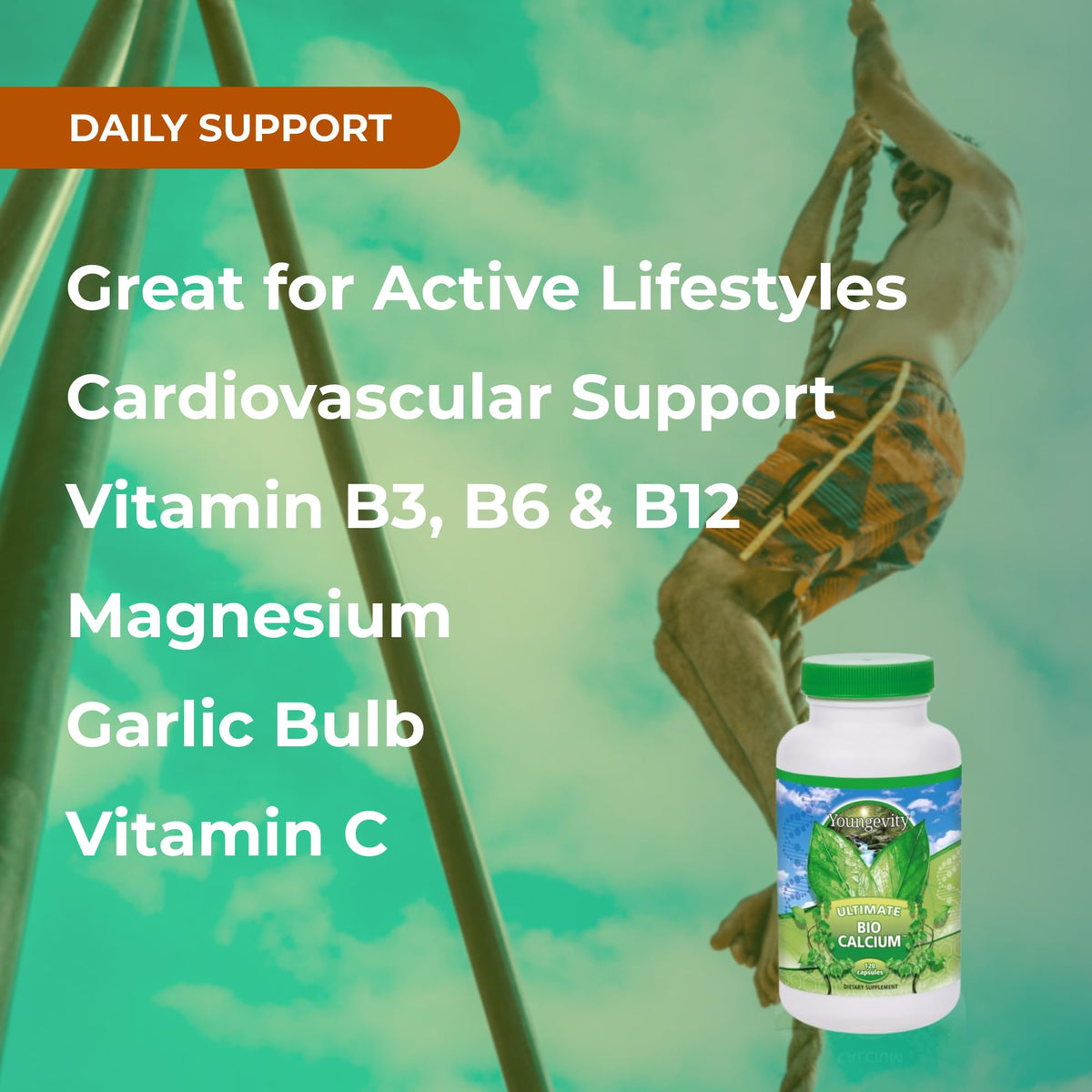 Youngevity Cardio FX Cardiovascular Support Supplement with CoQ10 - 60 Capsules - image 4