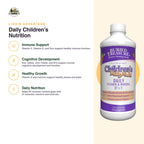 Select Nutrition Buried Treasure Children's Daily Liquid Multivitamin - 16 fl oz - image 3