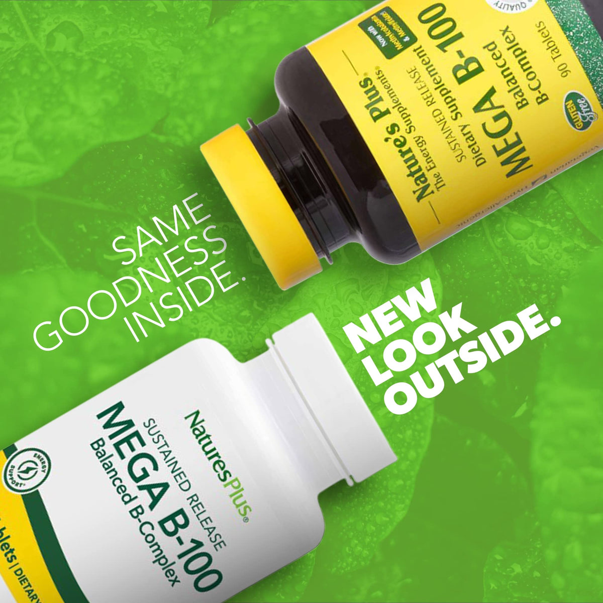 NaturesPlus Mega B-100