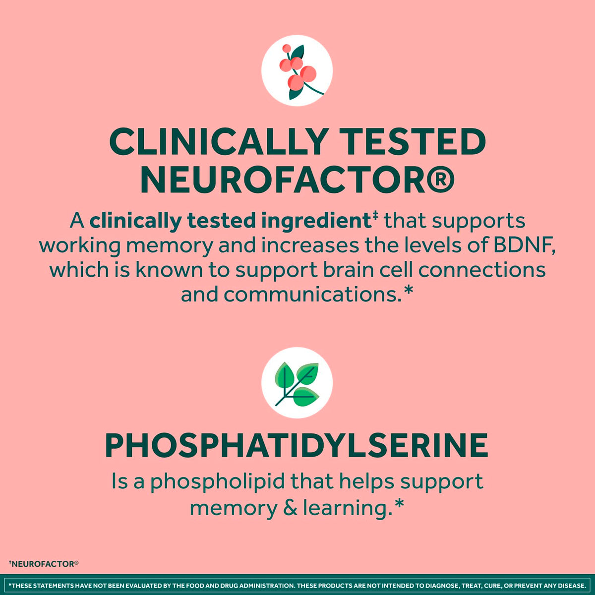 NEURIVA Nootropic Brain Support Supplement Original Capsules