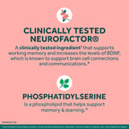 NEURIVA Original Brain Supplement for Memory & Focus - 60 Capsules - image 4