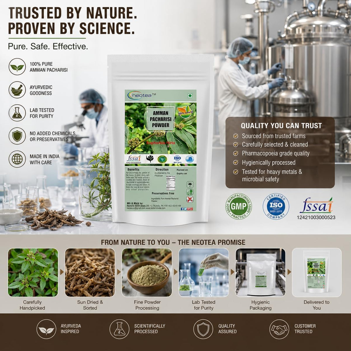 neotea Organic Euphorbia Hirta Powder for Immunity - 300 GM - image 9