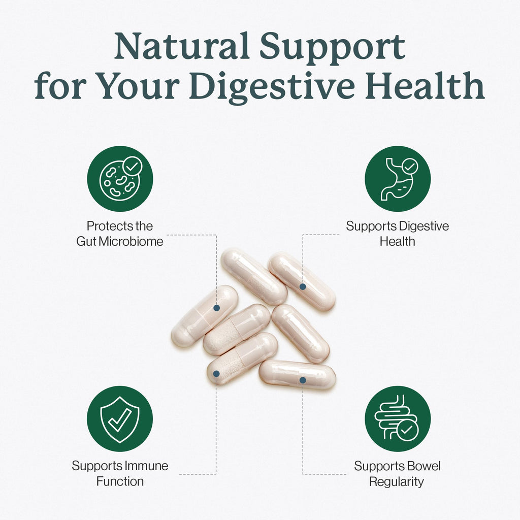 Dr. Fuhrman Flora Biotect Prebiotic Probiotic - 60 Capsules - image 2