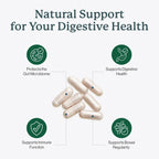 Dr. Fuhrman Flora Biotect Prebiotic Probiotic - 60 Capsules - image 2