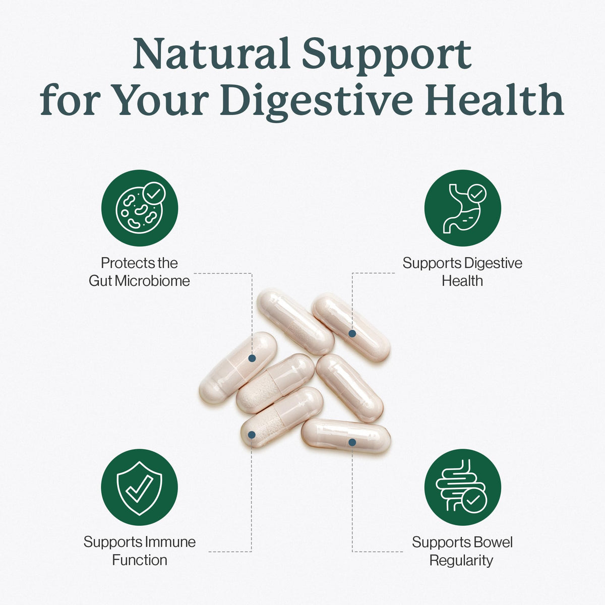Dr. Fuhrman Flora Biotect Prebiotic Probiotic - 60 Capsules - image 2