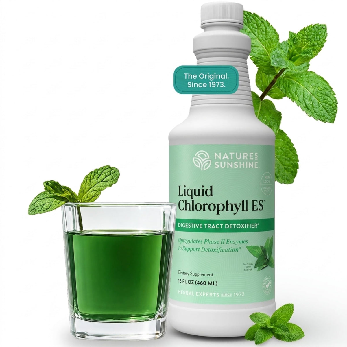 Nature's Sunshine Liquid Chlorophyll Extra Strength - 16 Fl Oz