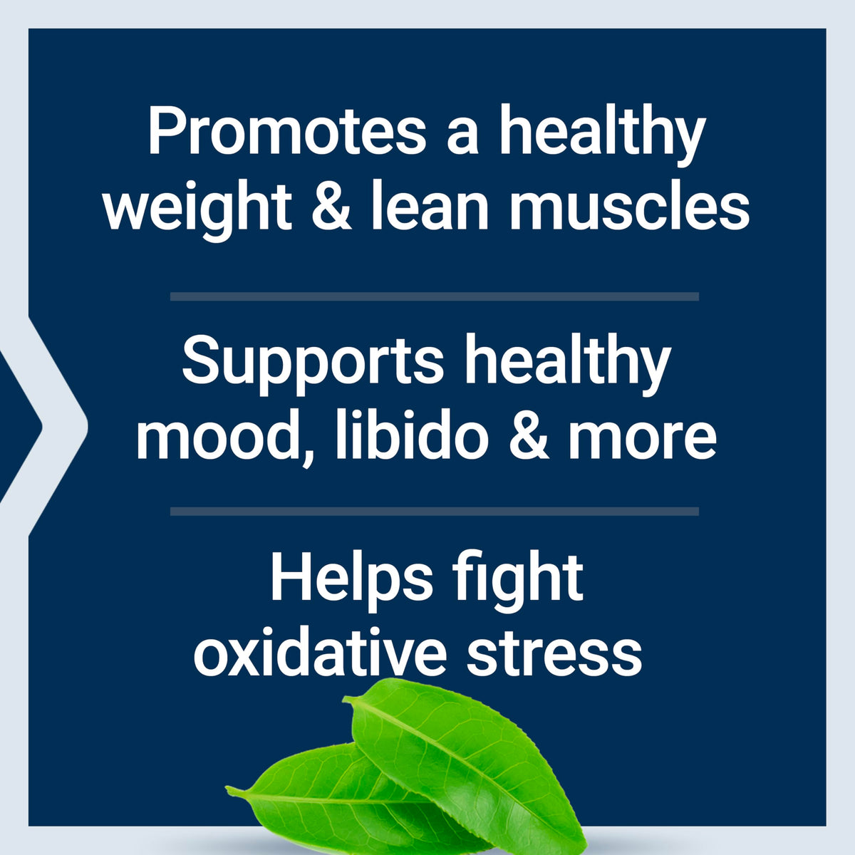 Life Extension DHEA and 7-Keto DHEA Complete - 60 Vegetarian Capsules - image 4