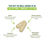 ADAPTOHEAL Immuneheal