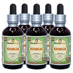 Herbal Terra LLC Kigelia (Kigelia Africana) Tincture