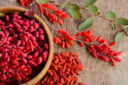 Pure Original Ingredients Berberine (730 Capsules) No Magnesium Or