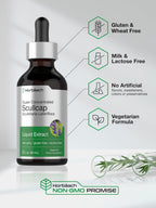 Horbäach Scullcap Herb Tincture Liquid Extract - 2 fl oz - image 5