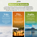 Jiva Botanicals Shatavari Capsules 1200mg Organic - 60 Count - image 6