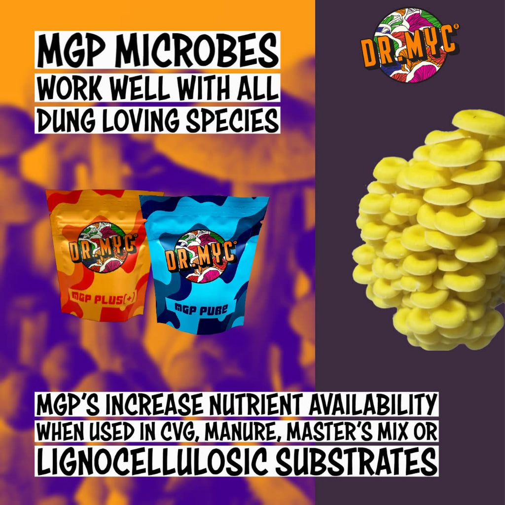 DRMyc MGP Pure Growth Promoter for Mushrooms - 25 Grams - image 4