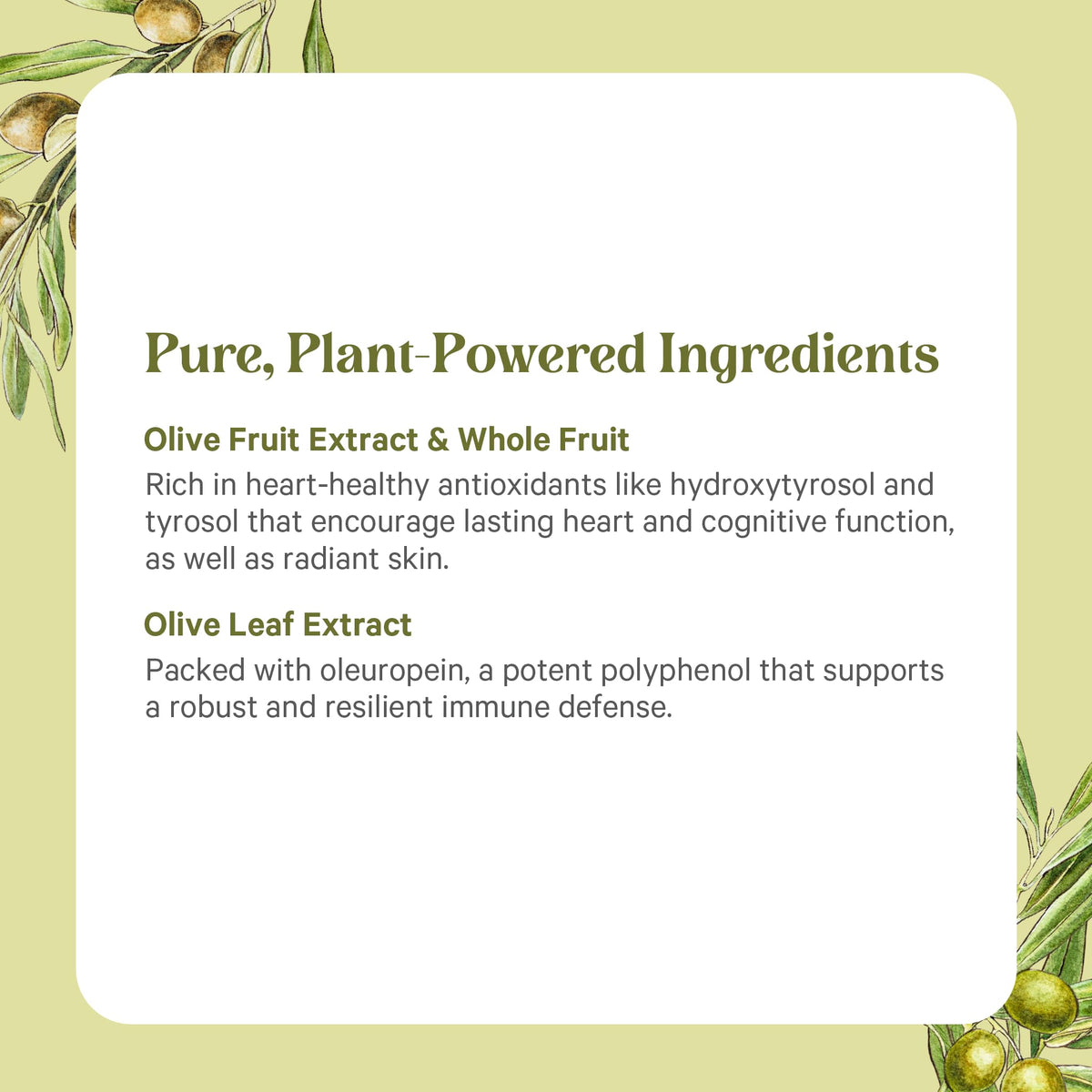 PURE SYNERGY SuperPure Olive Extract - 60 Capsules - image 5