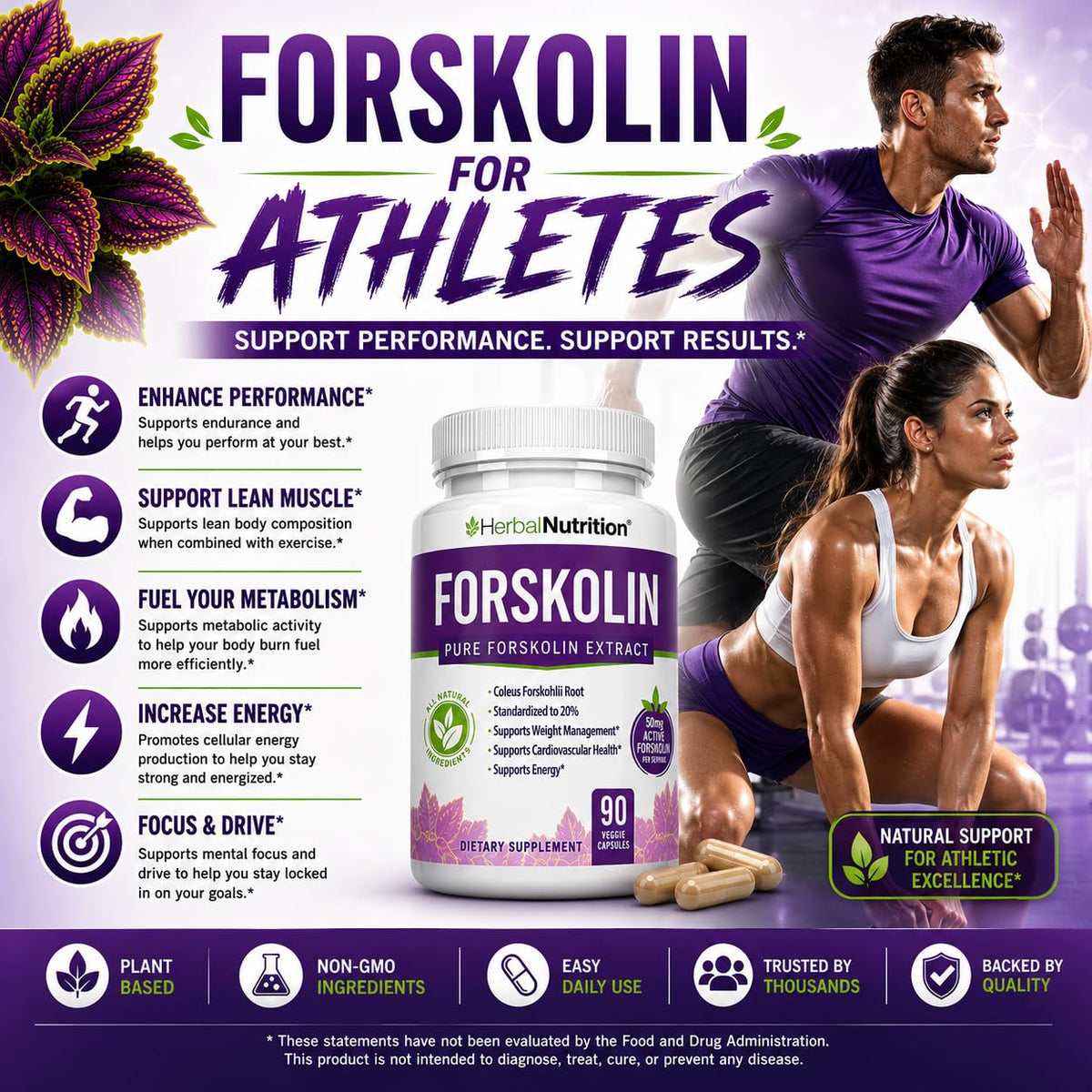 Herbal Nutrition Forskolin Extract 250mg-500mg Max Strength - 180 Capsules - image 4