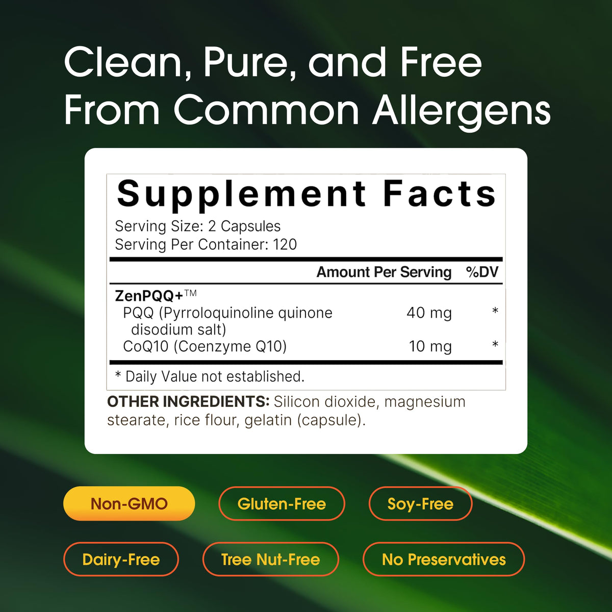 NatureBell PQQ 40mg with CoQ10 10mg - 240 Capsules - image 3