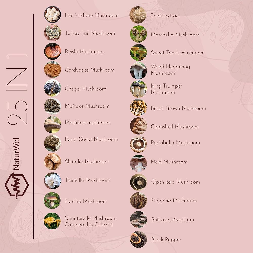 NaturWel Mushroom Blend Focus Pills - 90 Vegetarian Capsules - image 3