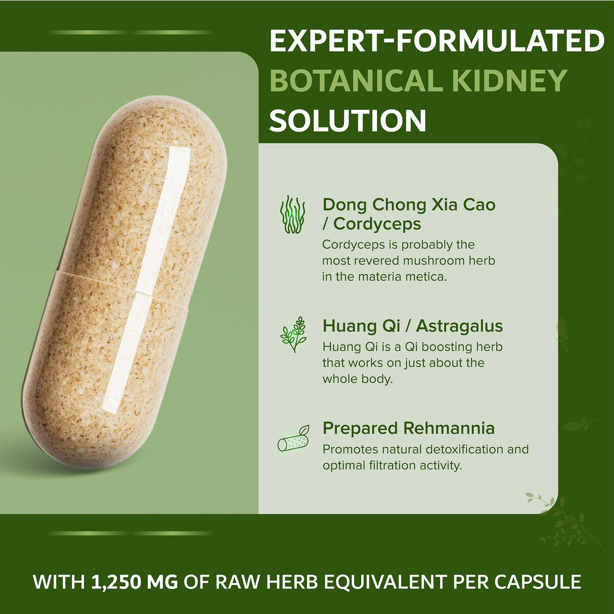 Dimmak Herbs Kidney Sure Herbal Support - 100 Capsules - image 4