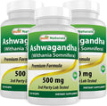 Best Naturals Ashwagandha 500 mg Stress & Mood Support - 360 Capsules