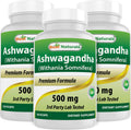 Best Naturals Ashwagandha 500 mg Stress & Mood Support - 360 Capsules