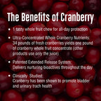 Enzymatic Therapy ActiFruit Cranberry Soft Chews - 60 Count - image 5