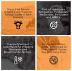 PRIMALRX Bovine Organ Powder Grass Fed Beef - 90g - image 4