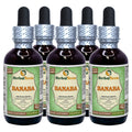 Herbal Terra Banaba Leaf Liquid Extract Alcohol-Free - 5x2 oz