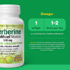 Natural Factors Berberine LipoMicel Matrix - Daily Supplement