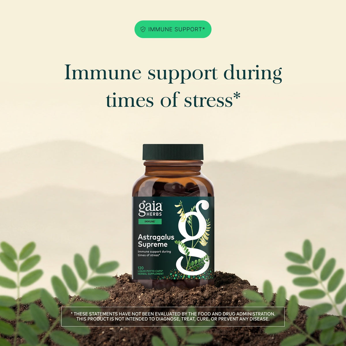 Gaia Herbs Astragalus Supreme Immune Support - 120 Capsules - image 3