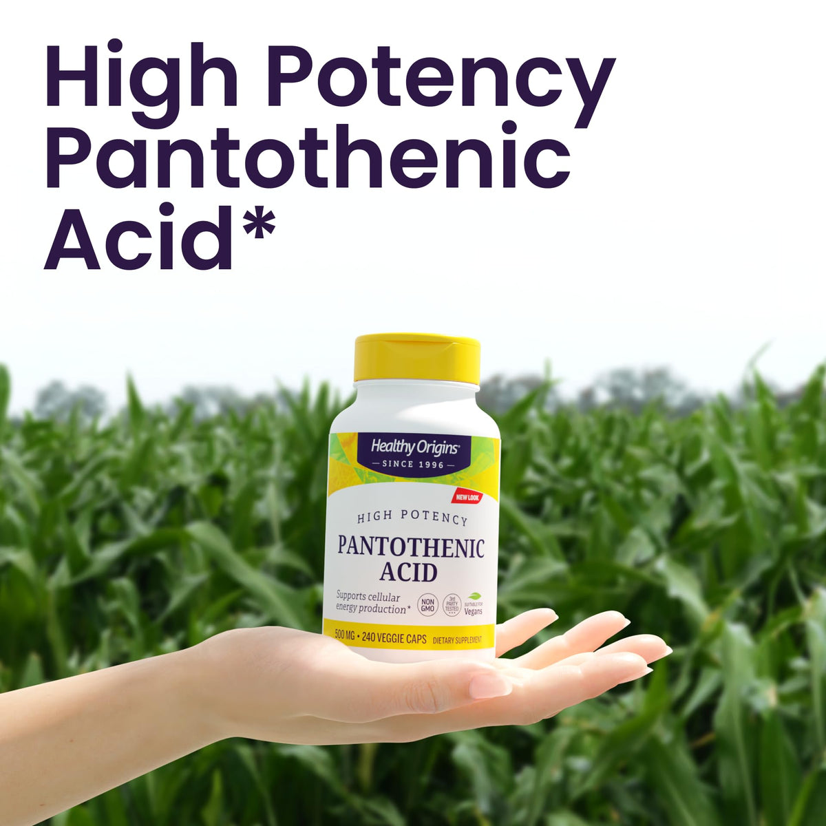 Healthy Origins Vitamin B5 Pantothenic Acid 500 mg - 240 Capsules - image 4