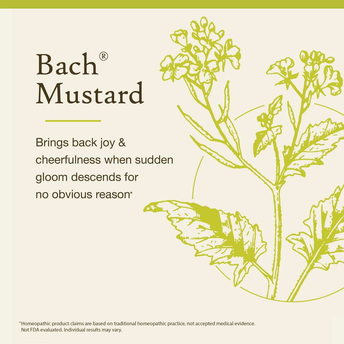 Bach Flower Remedies Mustard Essence for Joyful Mood - 20mL - image 3