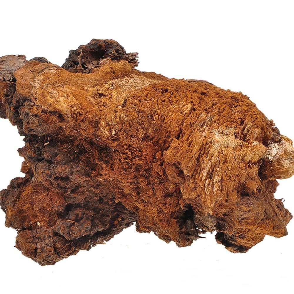 REUEHDS Chaga Mushroom Chunks - 1000g - image 3