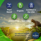 Via Natura Organics Milk Thistle 1000mg - 60 Capsules - image 4